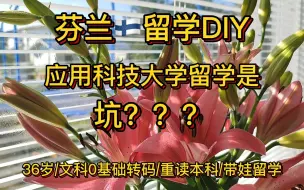 Download Video: 芬兰🇫🇮留学||切记留学不能直接拿永居