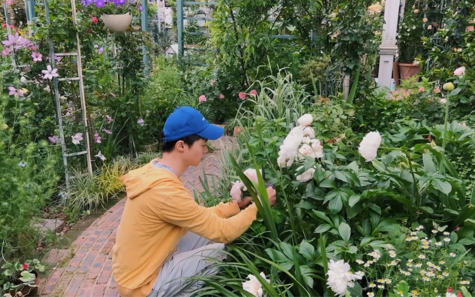 [图]仲春时节 沉浸式采花