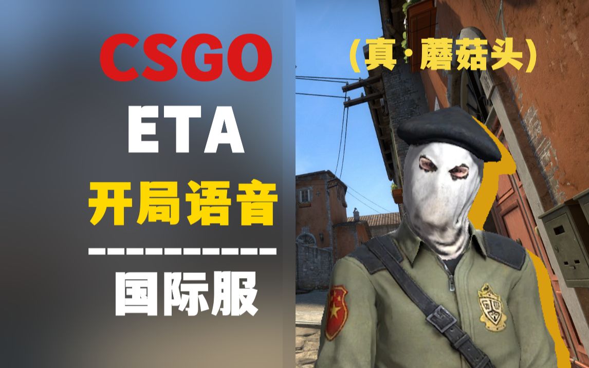 [CSGO/中英字幕] IDF蘑菇头 国际服 开局语音