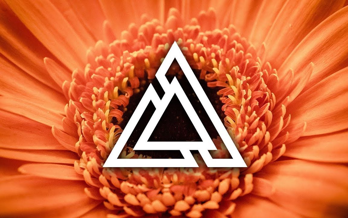 dirtypalmconorrossflowersftchandlerblasé