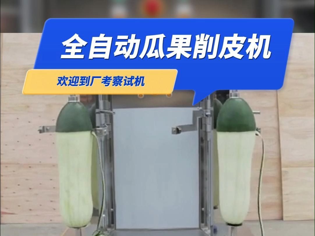 全自动瓜果削皮机
