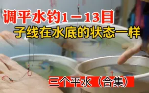 Download Video: 加粗尾调三次平水，钓1－13目，子线在水底的状态一样（1）合集