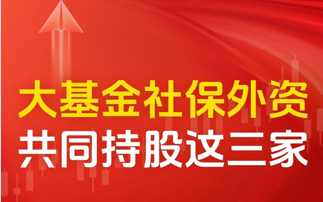 大基金社保外资三大主力,竟然同时持有3家半导体龙头哔哩哔哩bilibili