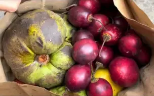 Скачать видео: 我又来农场薅水果了