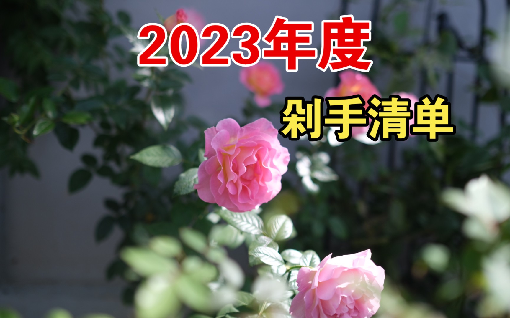 个人向2023年月季新品剁手清单,又叫每年败家玩意儿的购物车截图什么的哔哩哔哩bilibili