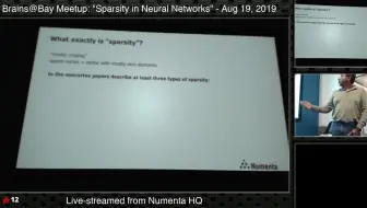 Sparsity in Neural Networks (Brains@Bay Meetup)