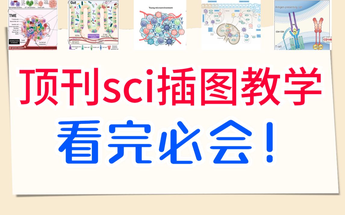 如何通过一个视频,学会高分sci科研绘图?——手把手教学哔哩哔哩bilibili