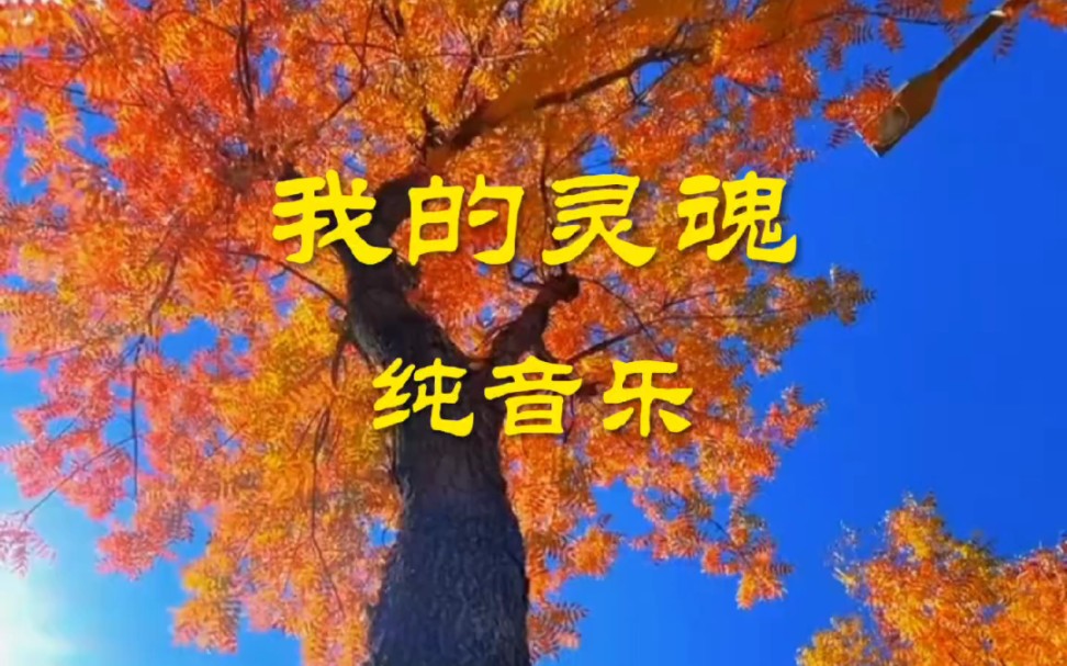 《我的灵魂》纯音乐哔哩哔哩bilibili