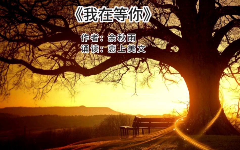 美文诵读《我在等你》文/余秋雨 诵读/恋上美文