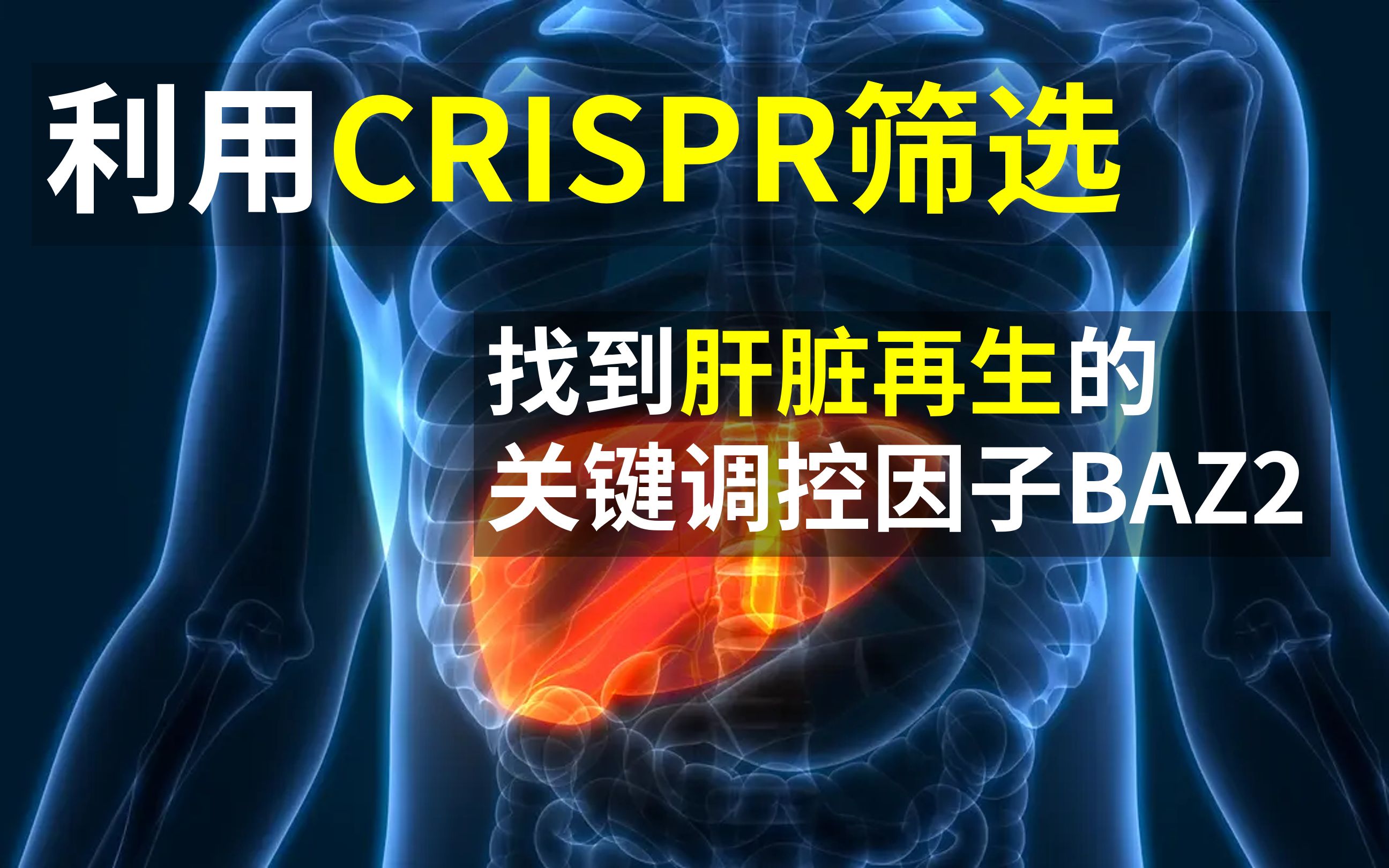 利用CRISPR筛选找到肝脏再生的关键调控因子BAZ2哔哩哔哩bilibili