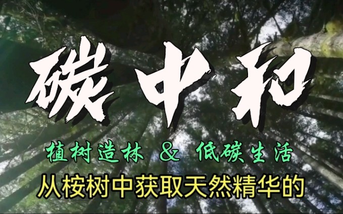 碳中和——不仅仅是植树造林,更要全民参与日常生活中哔哩哔哩bilibili