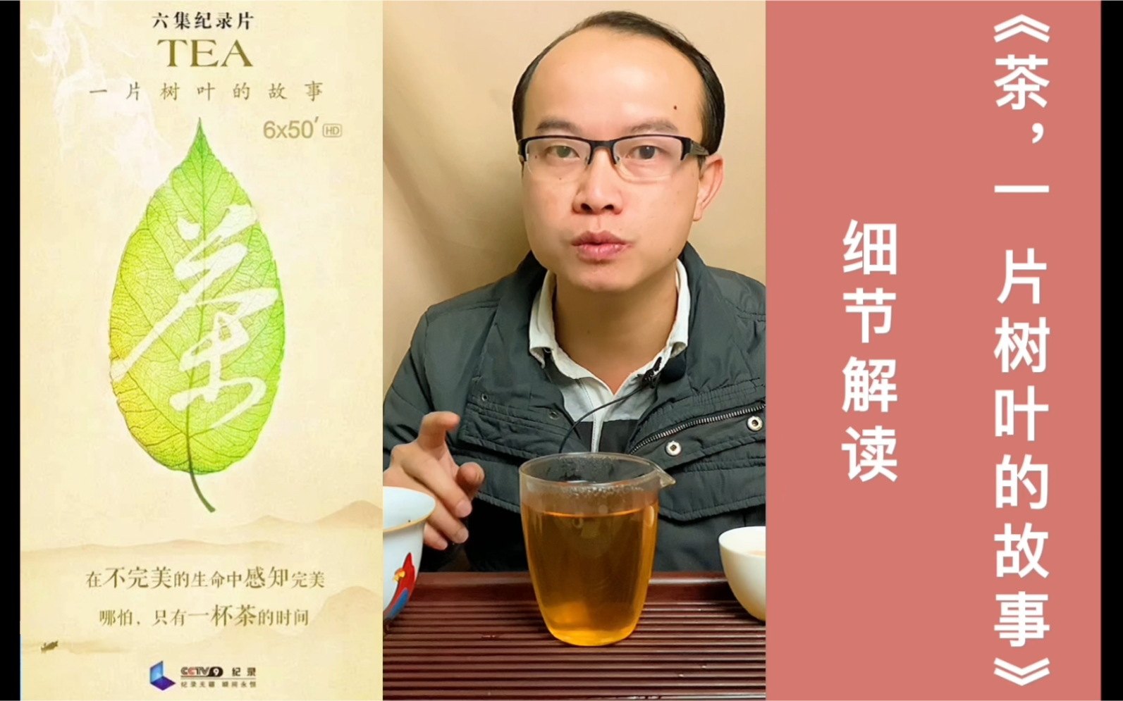 [图]《茶，一片树叶的故事》细节解读01