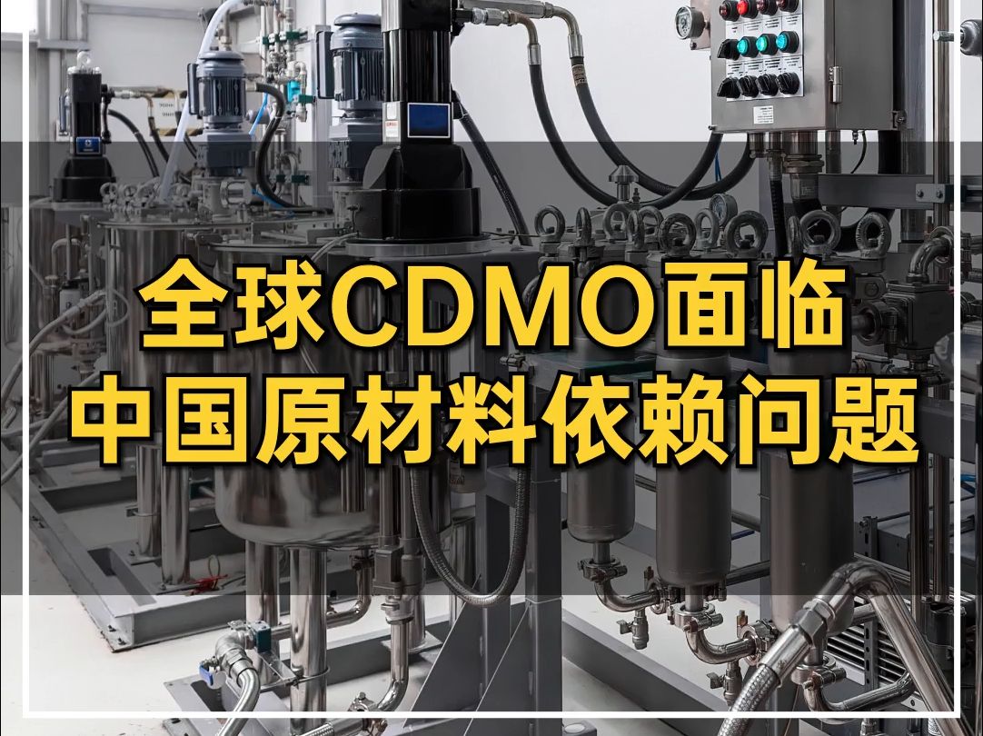 全球CDMO面临中国原材料依赖问题哔哩哔哩bilibili