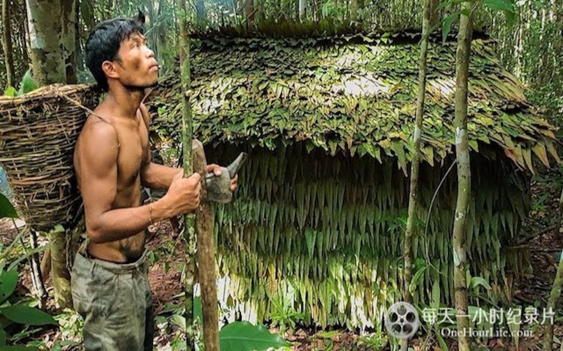 [图]柬埔寨小哥《原始技术的进化 Evolution of Primitive Technology》更新至51集 无对白 720P高清纪录片