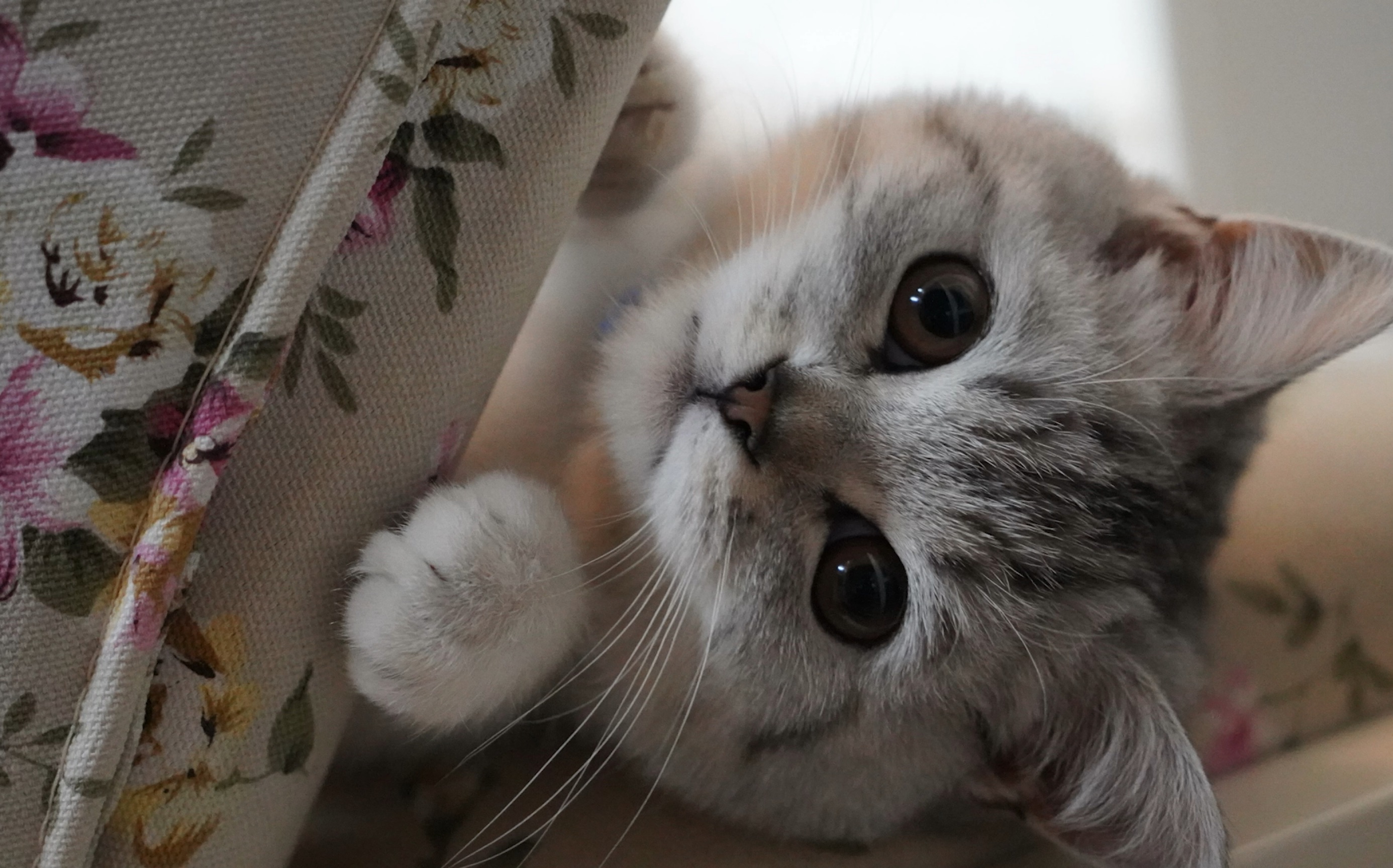 你犹豫的眼神里装的是可爱