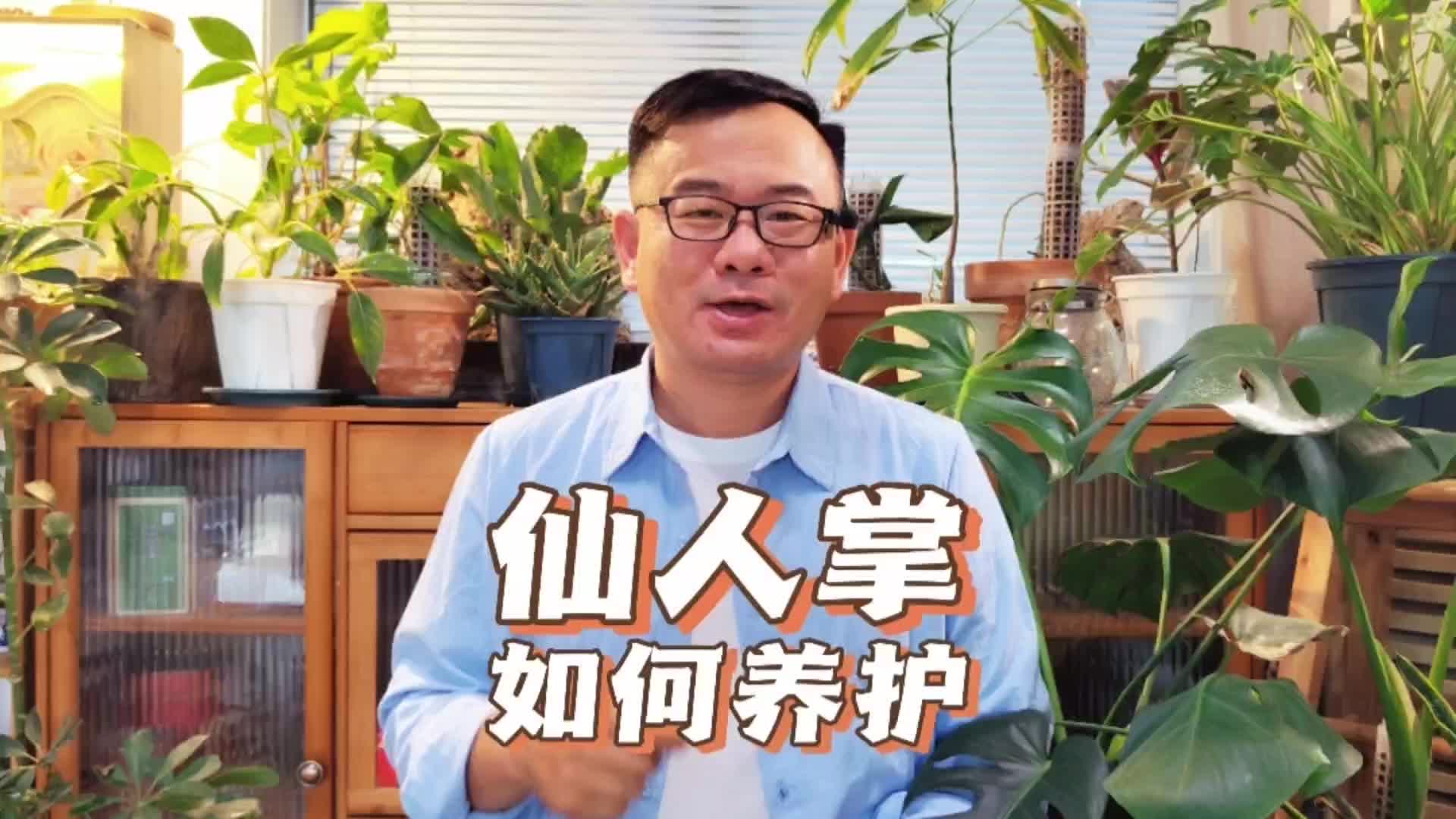 仙人掌如何养护?5件事做好,懒养开花多哔哩哔哩bilibili