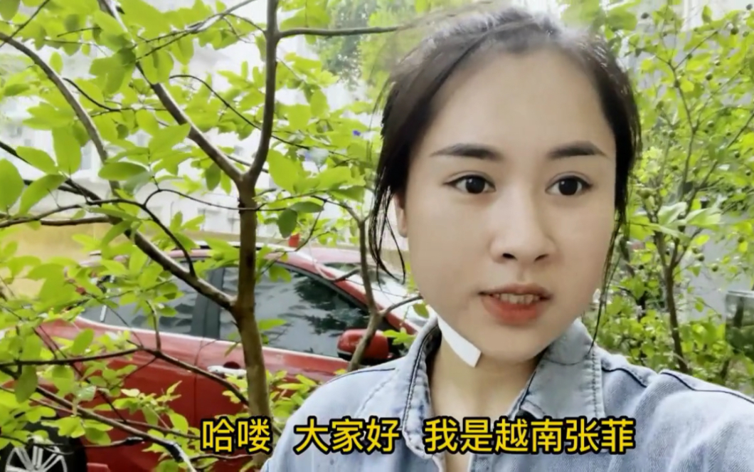 越南爱情故事初代女主角:张菲近况,很多沉浸在故事和剧情中的童鞋,从