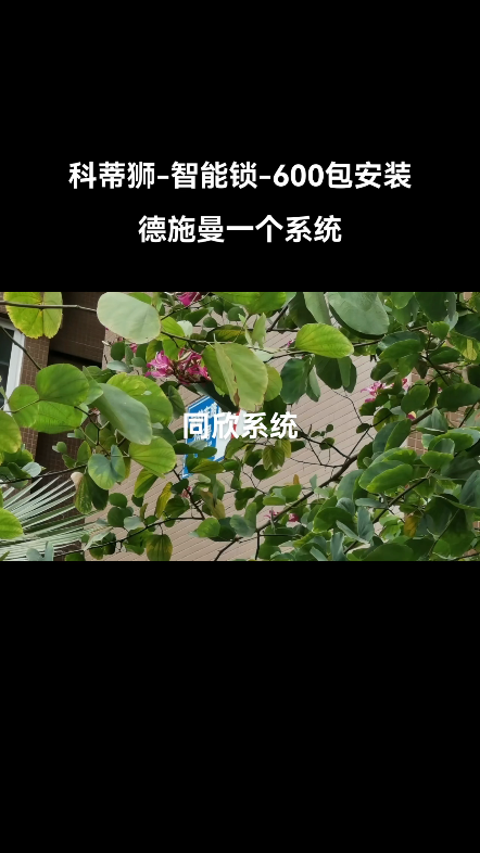 指纹锁,华阳,公兴,600包安装.哔哩哔哩bilibili