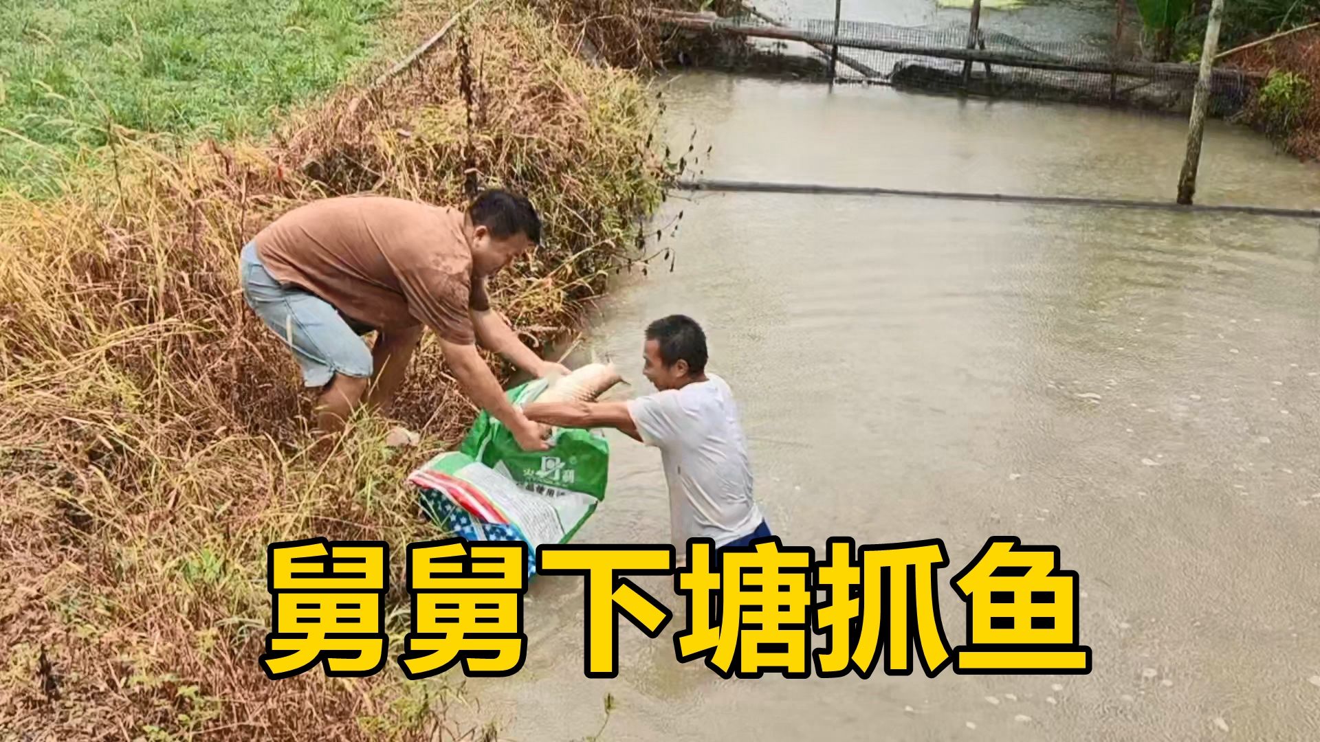 三嫂一家去广西舅舅家过中秋,舅舅冒雨下塘抓鱼来招待,享受舅爱哔哩哔哩bilibili