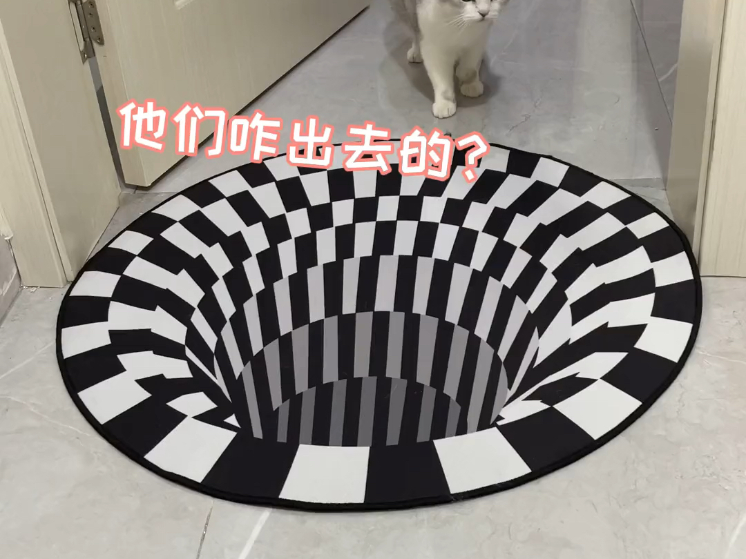 一张3D眩晕地毯给家里的猫吓坏咯哔哩哔哩bilibili