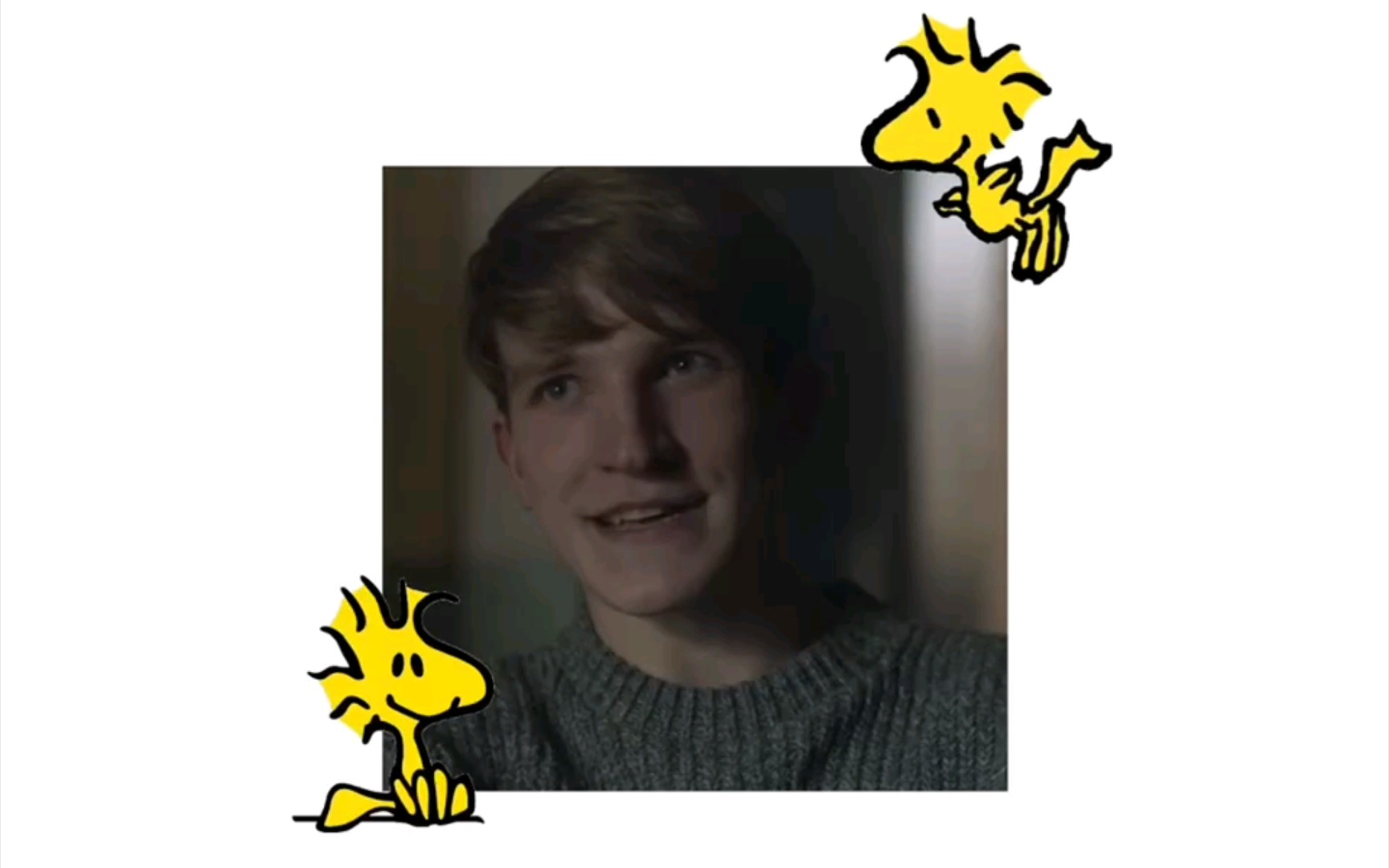 小汤贝&糊涂塌客|饱饱你是个小小鸟