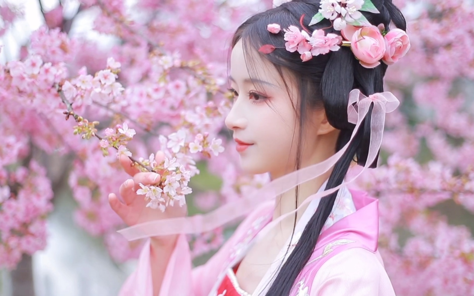 青白江樱花节汉服图片