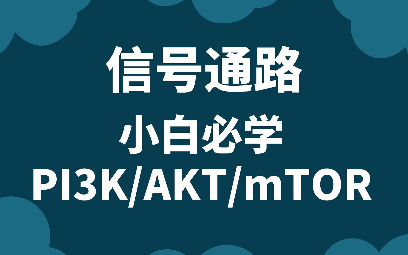 深度解析医学信号通路机制:为什么它对疾病治疗至关重要哔哩哔哩bilibili