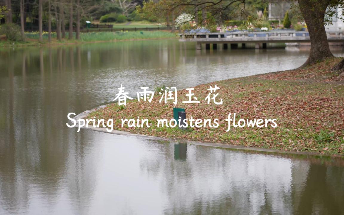 [图]春雨润玉花