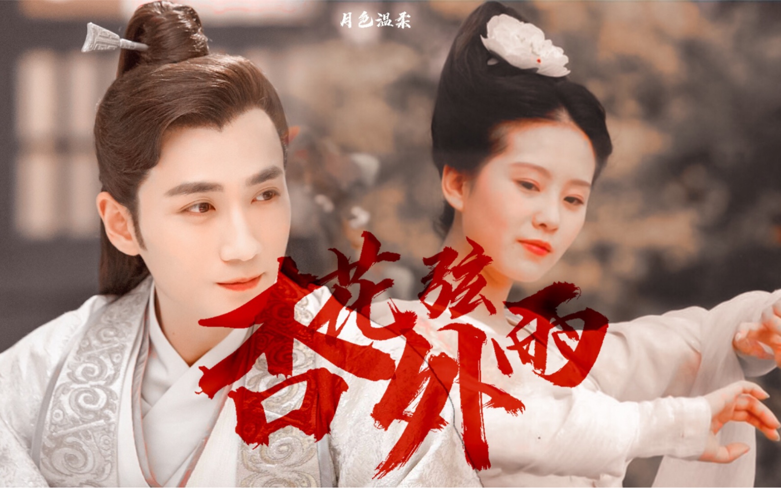 【朱一龙*刘诗诗】【花无谢*辛十四娘】才子佳人,一见钟情_哔哩哔哩