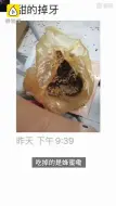 Download Video: 男寝接连发现蜂巢获1斤多蜂蜜，被学生分食