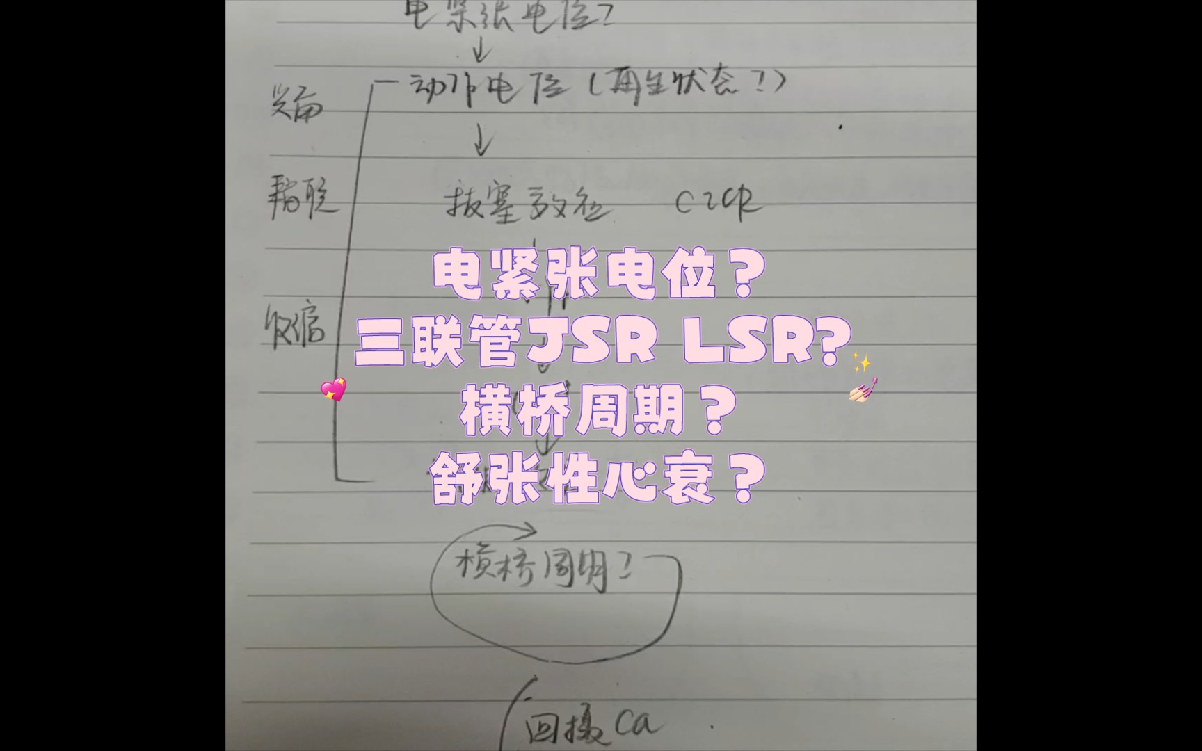 学会神经肌接头就学会了电生理?有效不应期?电紧张电位?局部电位?再生状态?兴奋收缩耦联?用游戏的思路学会横桥周期?哔哩哔哩bilibili