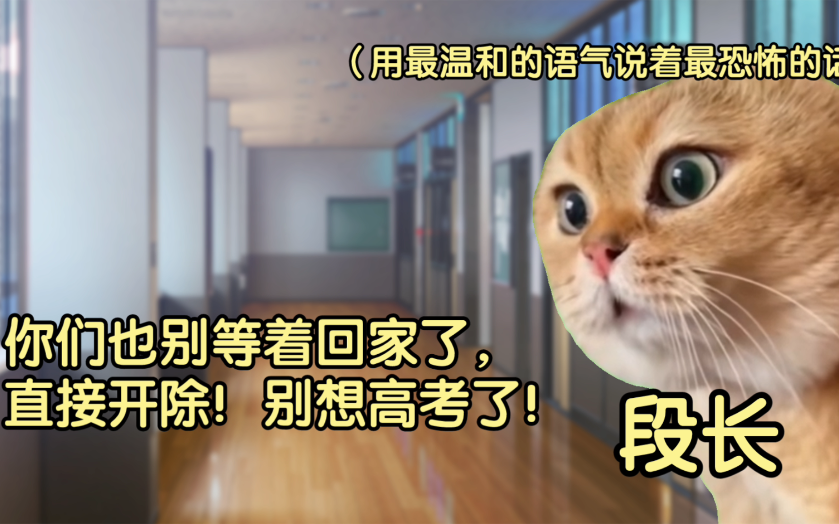 [图]【猫meme】学校禁止喊楼，我们却奋起反抗！（上）