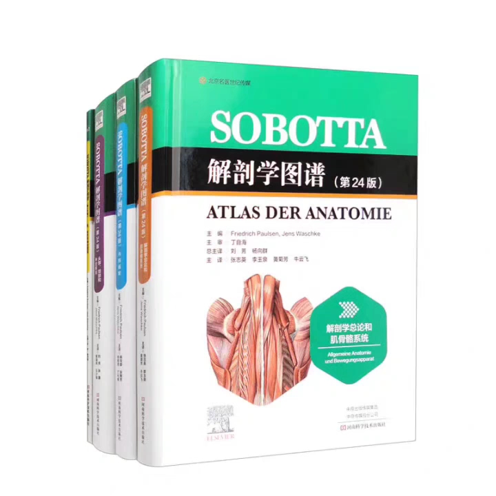 [图]Sobotta解剖学图谱 全4册 第24版_刘芳，杨向群主译2022年（彩图）超清版PDF