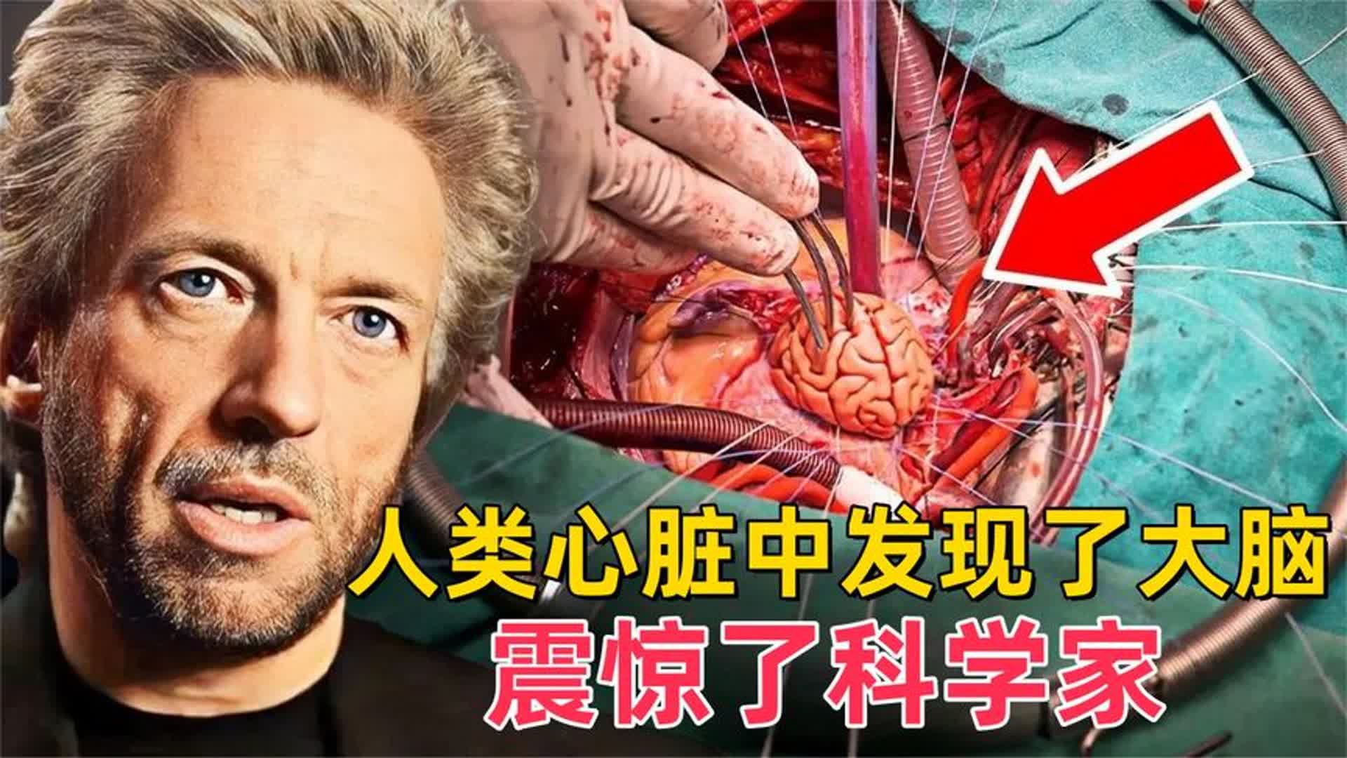 [图]人类心脏中发现了大脑震惊了科学家！