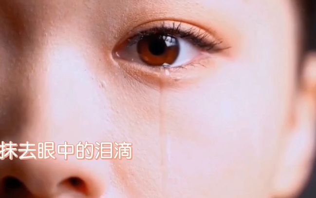 《抹去泪水》演唱 韩宝仪 视频制作 张勇