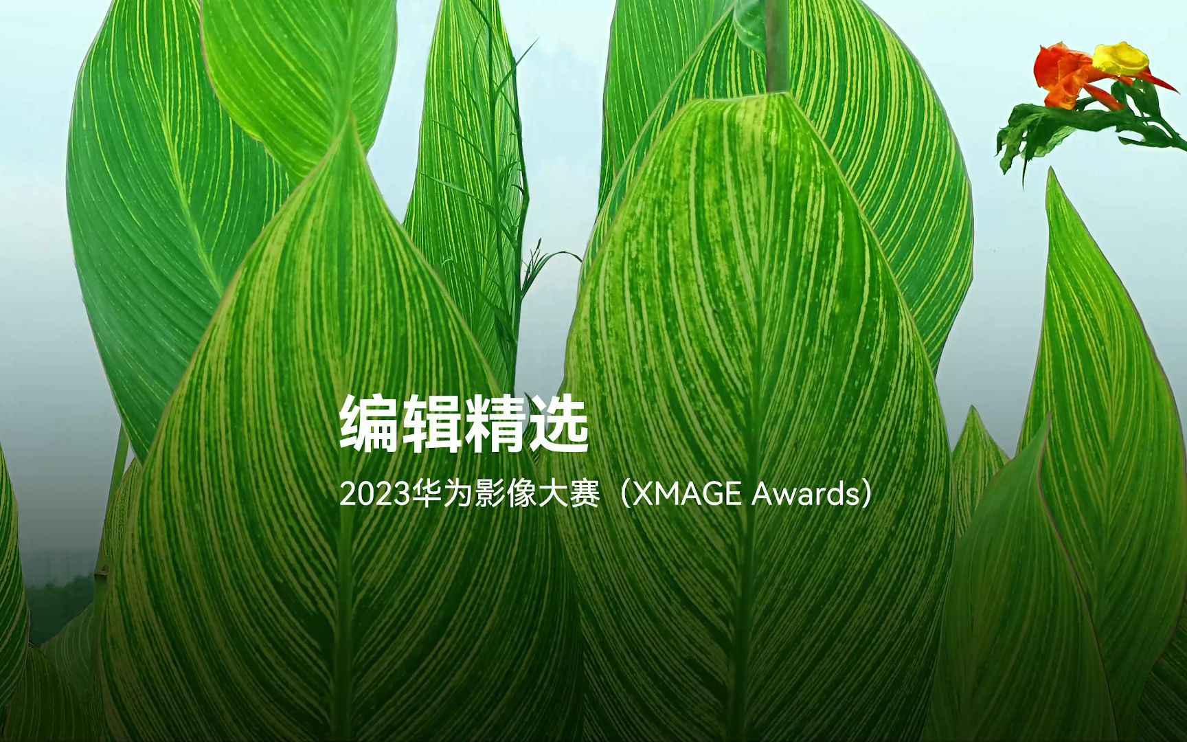 【2023华为影像大赛(XMAGE Awards)】来吧,展示!哔哩哔哩bilibili