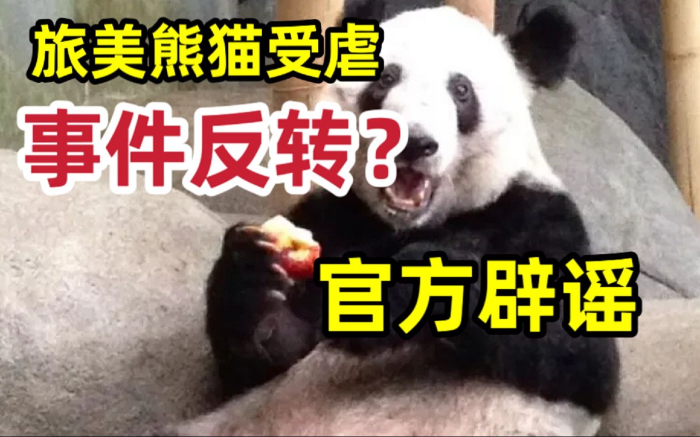 [图]【全网最详】旅美熊猫丫丫究竟有没有被虐待？官方反复辟谣没人听？