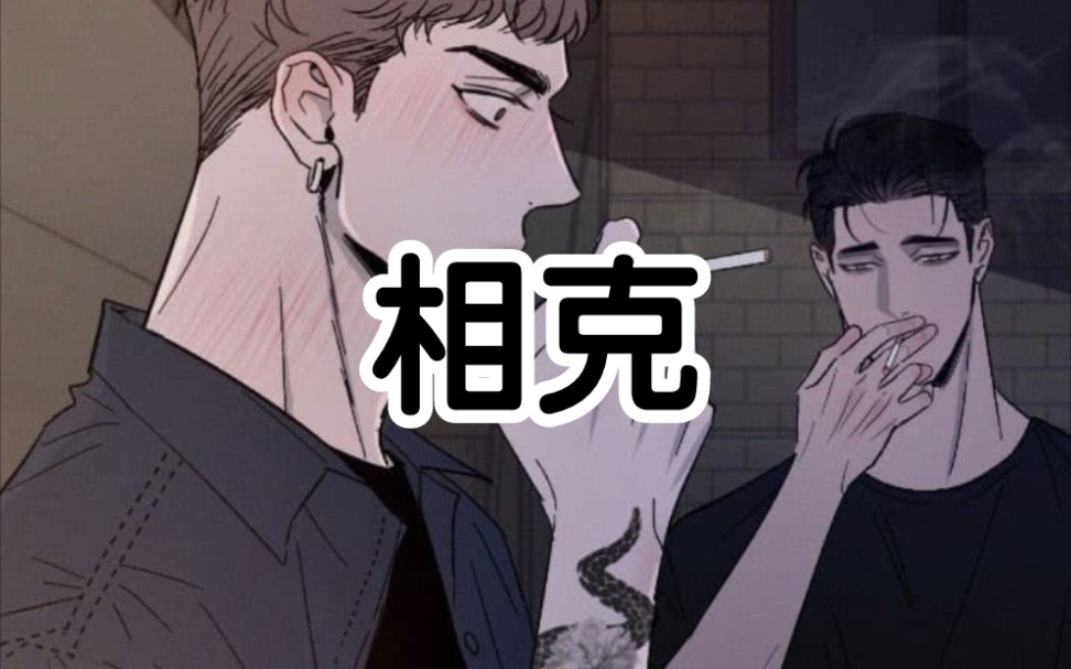 漫画【相克】哔哩哔哩bilibili