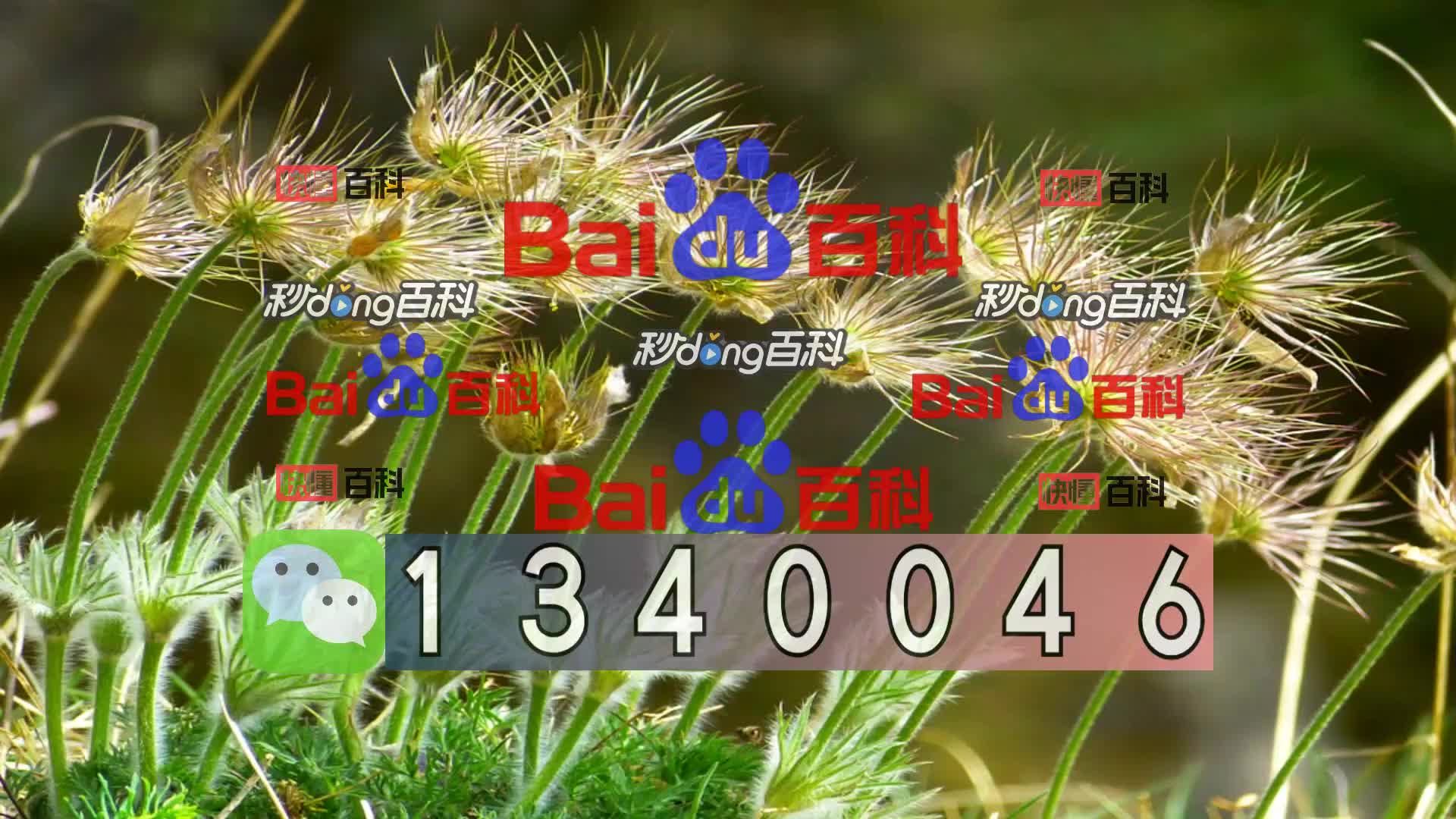 「游戏榜单top56」澳洲幸运10实力靠谱群哪里找分享视频(2024已更新)