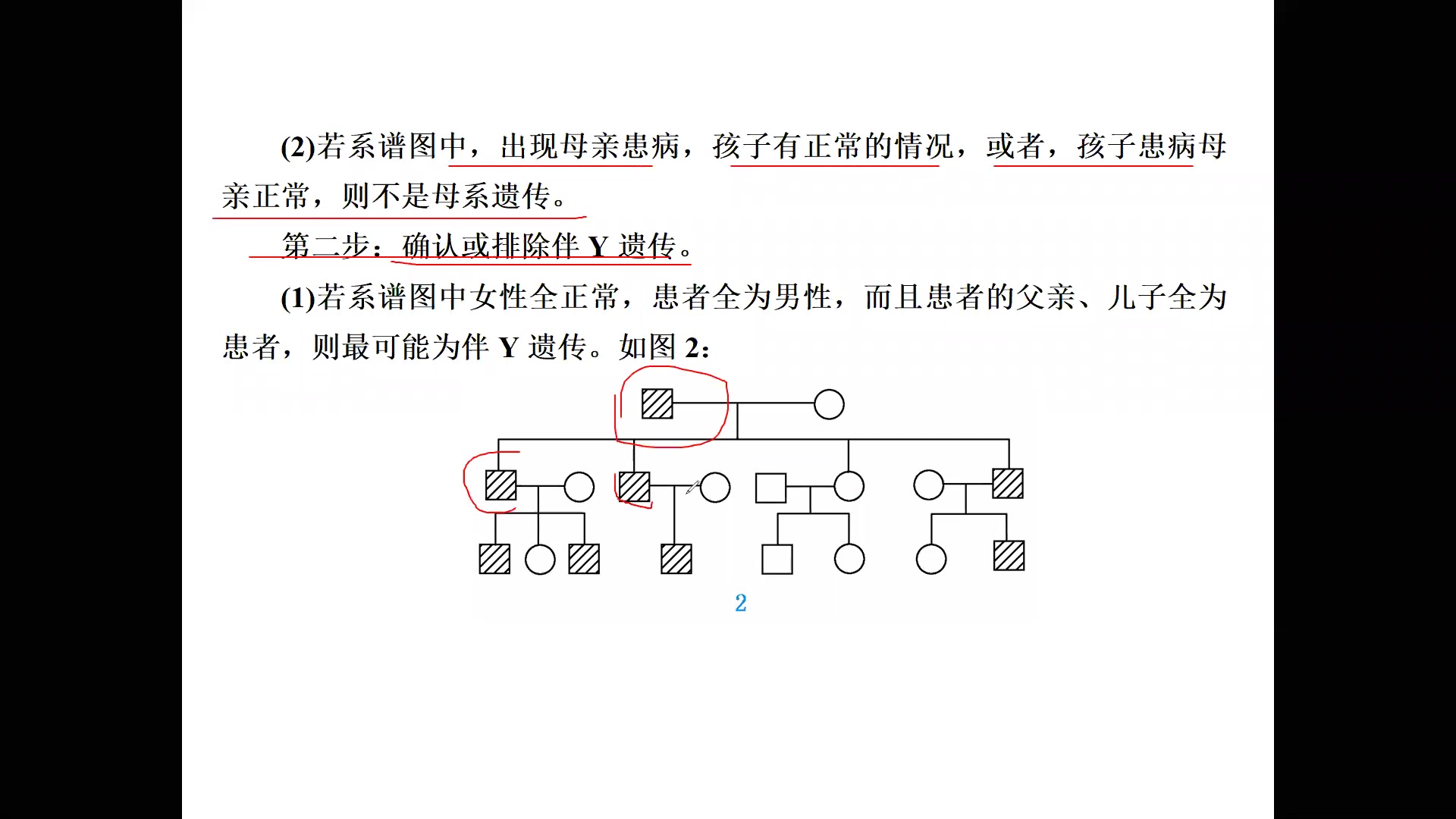 遗传系谱图的分析哔哩哔哩bilibili