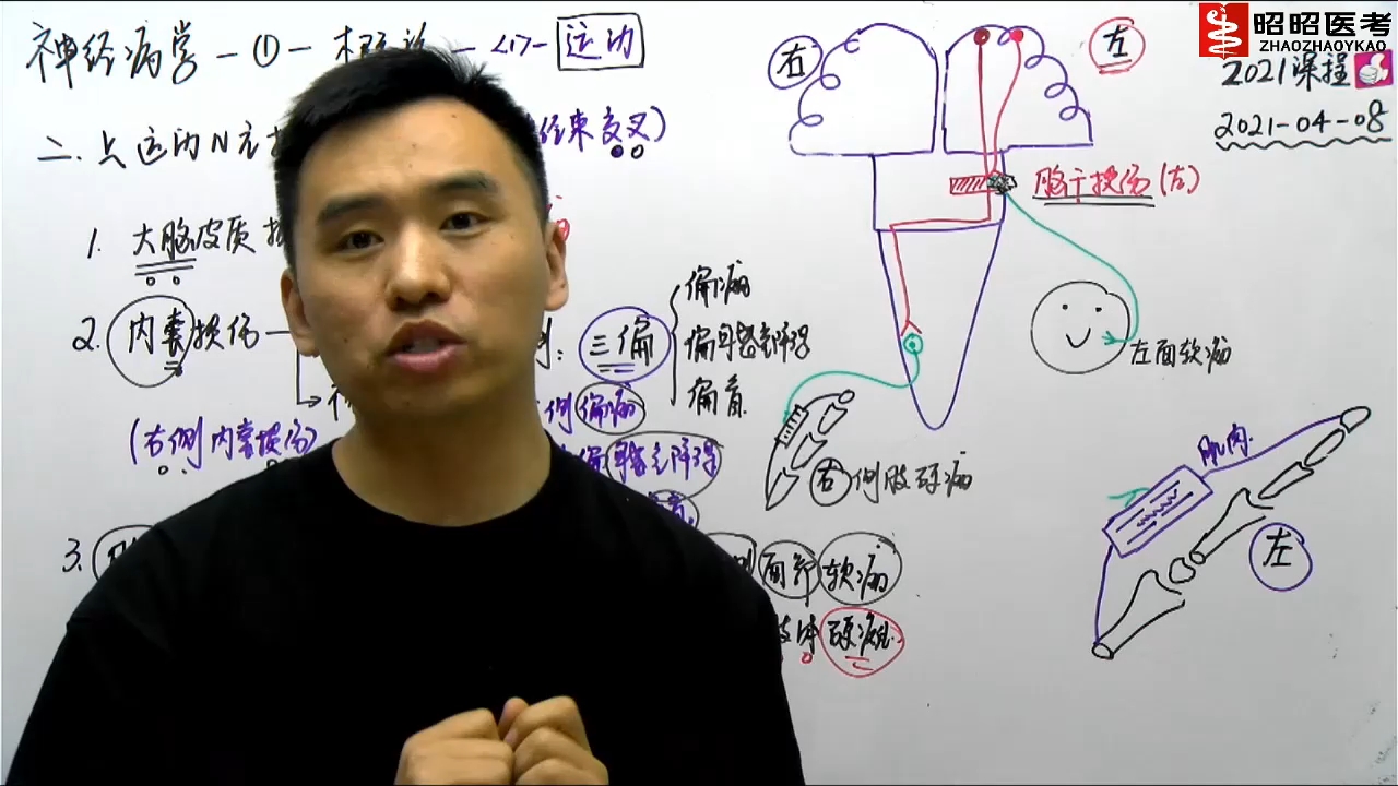 [图]神经系统-01神经系统概述2