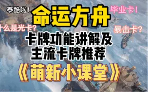 Descargar video: 『精』命运方舟，卡片（卡牌）系统讲解，主流卡牌的推荐与获取途径～萌新须知