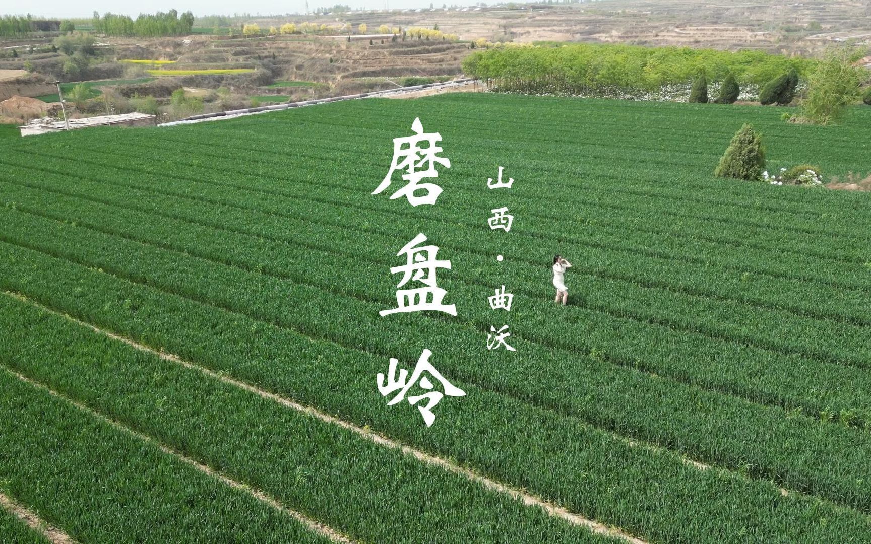【专业实践】(一)风听到了我的愿望,吹过曲沃磨盘岭,送我春浪漫.