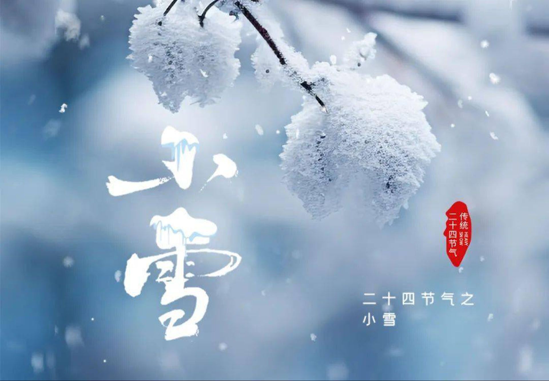 “小雪三不做,一冬病不沾”,今日小雪,三忌三宜要牢记,过好凶险15天!哔哩哔哩bilibili