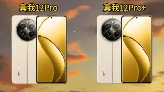 Скачать видео: 真我12Pro和真我12Pro+硬件对比，都有哪些区别？