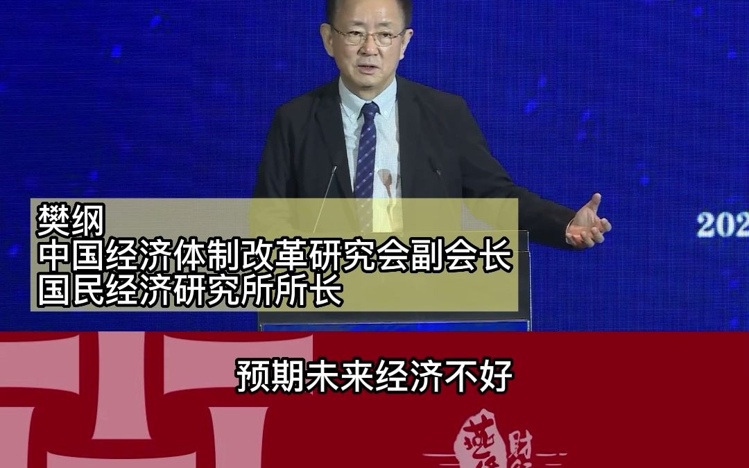 樊纲中国经济体制改革研究会副会长、国民经济研究所所长中国近期经济波动的原因(二)哔哩哔哩bilibili