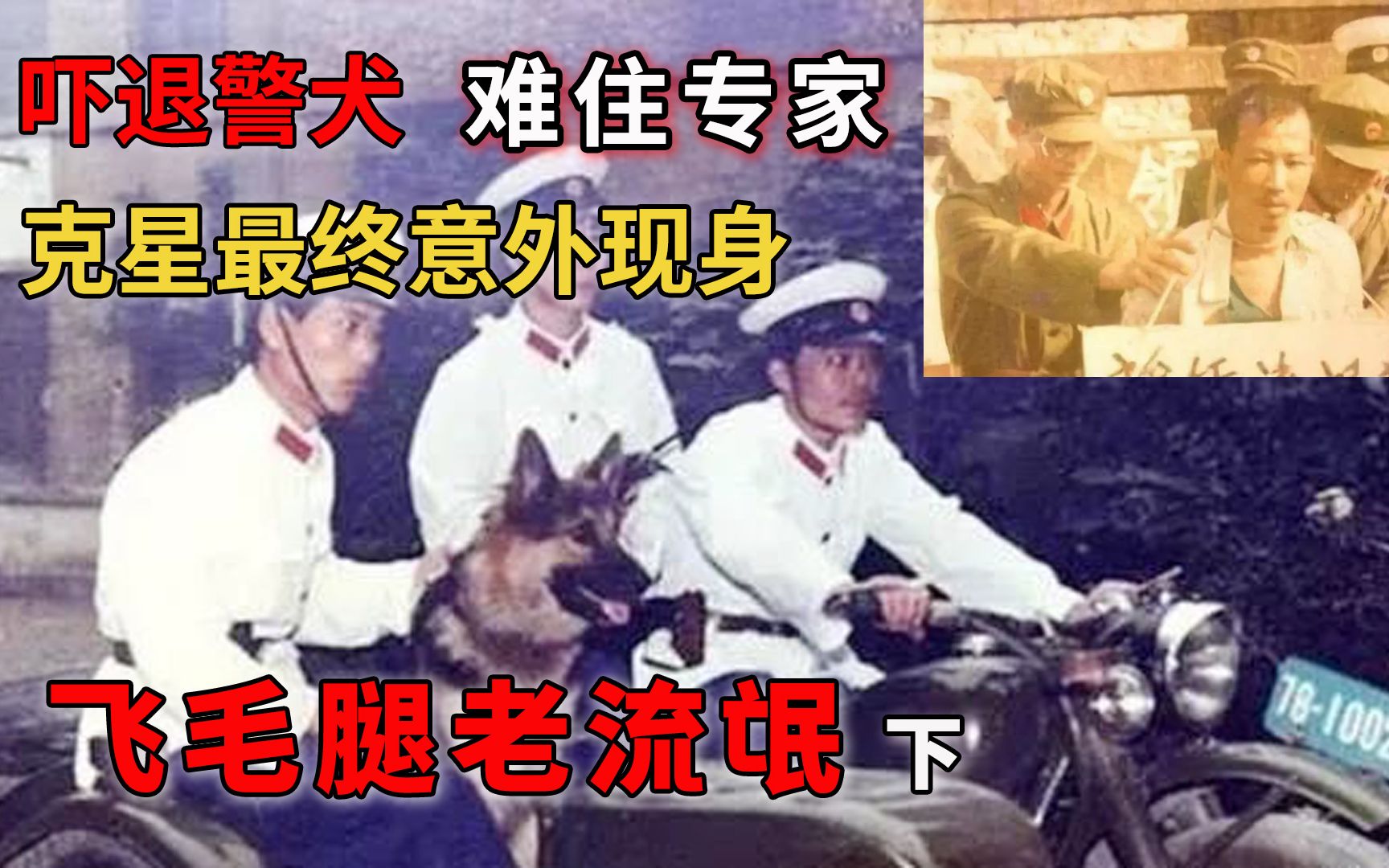 [图]案件｜警犬不敢上前，号称“小神仙”的刑侦专家一筹莫展。十年后，嫌犯的克星却以意想不到的方式突然现身｜VivGeo