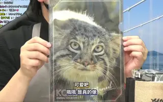 中村悠一庆生_ 搜索结果_哔哩哔哩_Bilibili