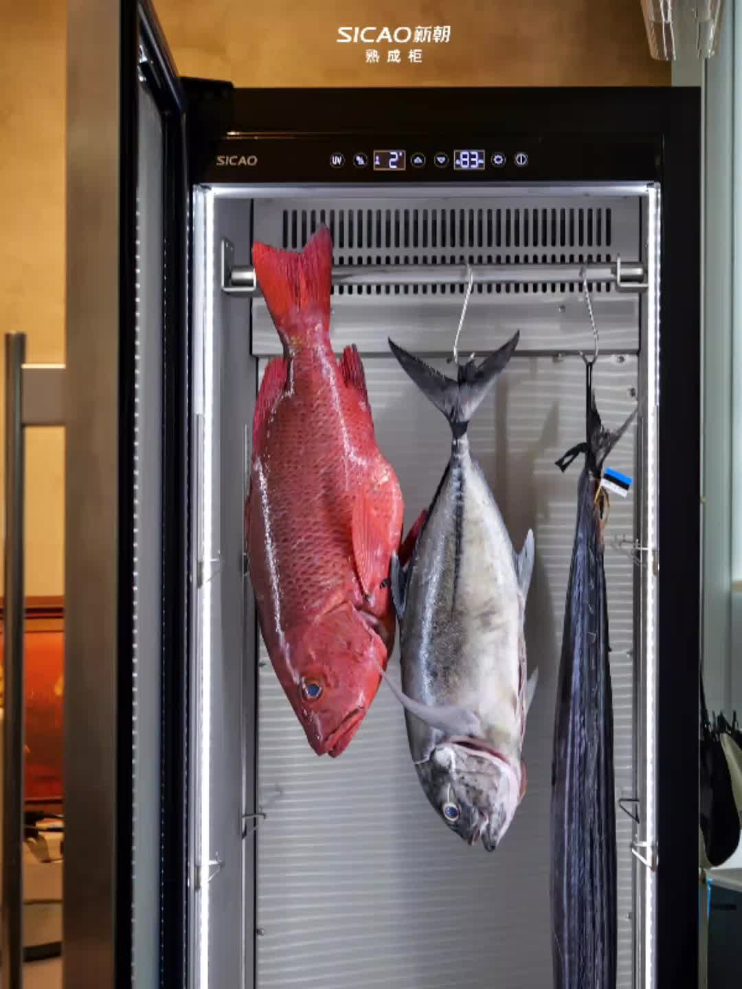 右边 领航灯鱼,又被称为"鲨鱼的小跟班",学名为舟鰺.