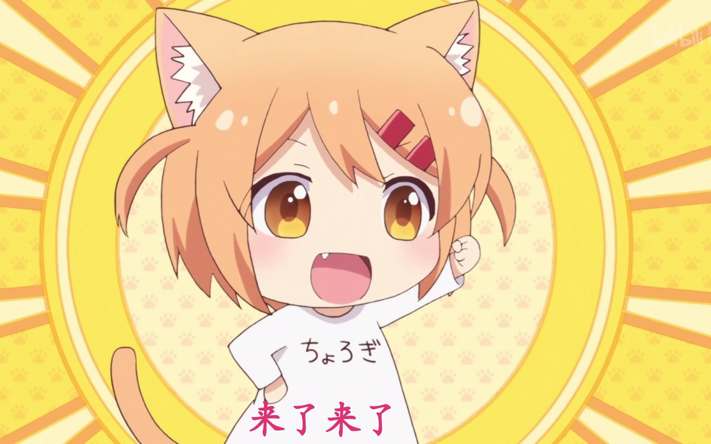 猫耳蛋蛋(绝版弹幕录屏)_哔哩哔哩_bilibili